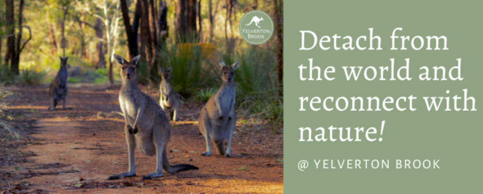 Yelverton Brook Conservation Sanctuary